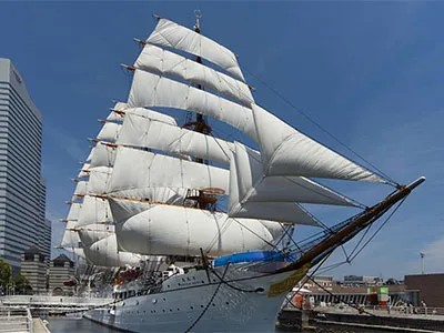 Correa/cinta de Dyneema